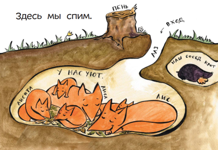 Лисья Нора в разрезе