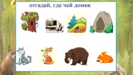 Дупла, Норы, берлоги, логова.