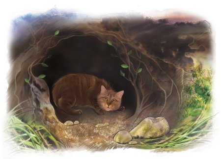 Коты Воители гнездо