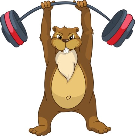 Спортивные зверюшки