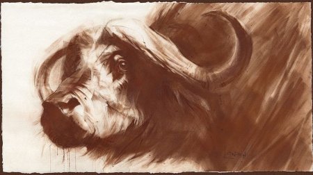 Животные сангиной и углём