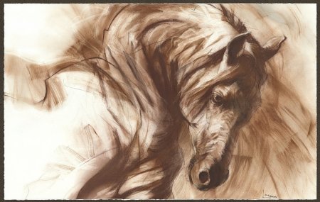 Животные сепия