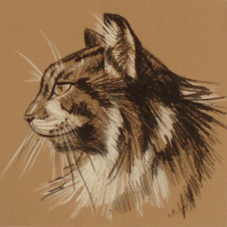 Зарисовки животных сангиной