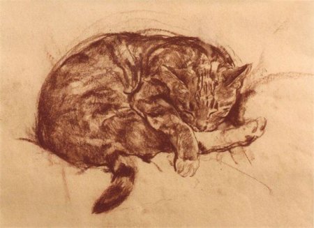 Животные сангиной