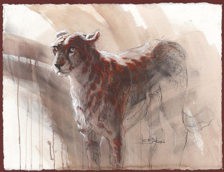 Художник Сэм долман