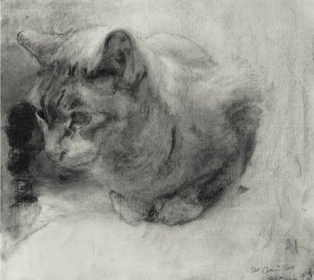 Зарисовки животных углем