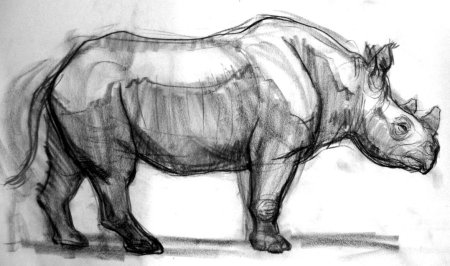 Академический рисунок животных