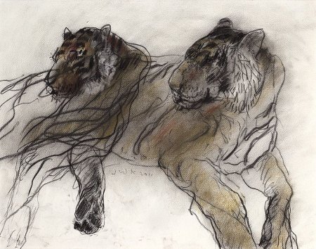 Собака сангиной