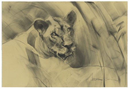 Академические зарисовки животных