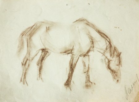 Академический рисунок лошади