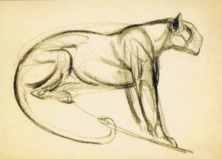 Набросок животного