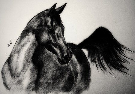 Графика углем