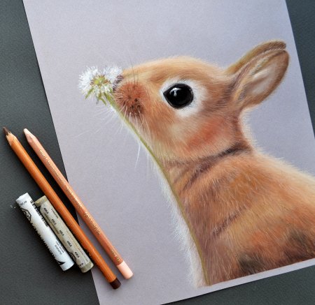 Рисование животных пастелью