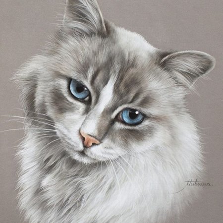 Животные пастельными карандашами