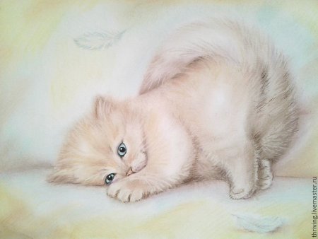 Котенок сухой пастелью