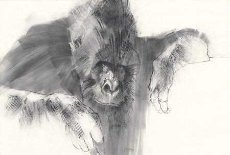 Животные академические Наброски карандашом