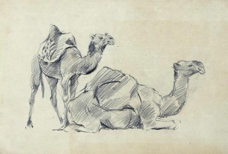 Академические зарисовки животных