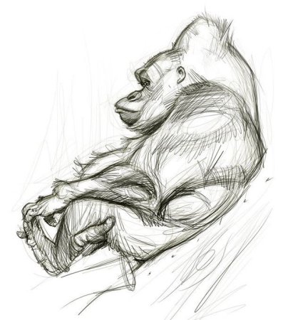 Набросок животного