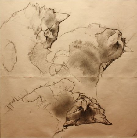 Академические Наброски животных