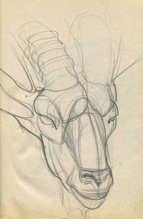 Конструктивное рисование животных