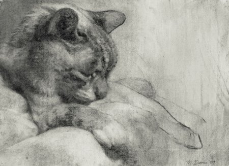 Животные с натуры карандашом