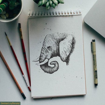 Животные для скетчбука