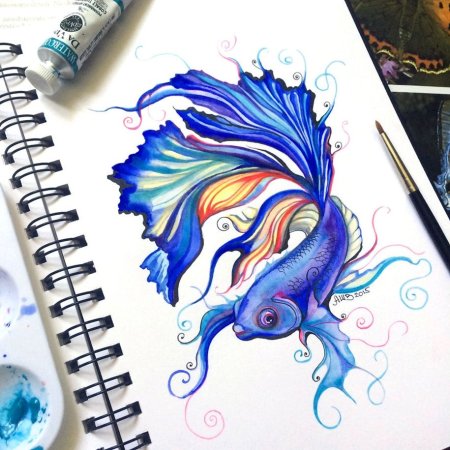 Рисунки для скетчбука разноцветные