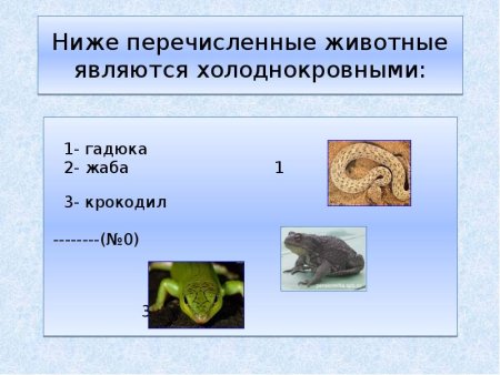 Примеры холоднокровных животных