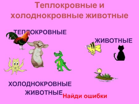 Пресмыкающиеся теплокровные или холоднокровные