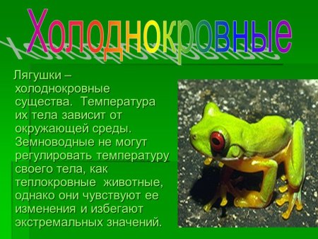 Отряд бесхвостых земноводных краткая биография