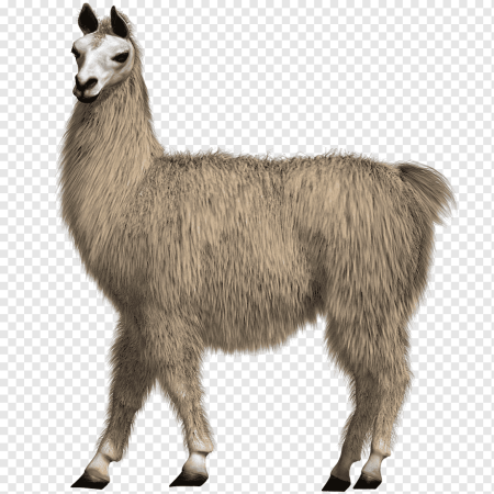 Силуэт ламы альпака