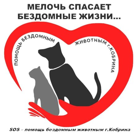 Помощь бездомным животным