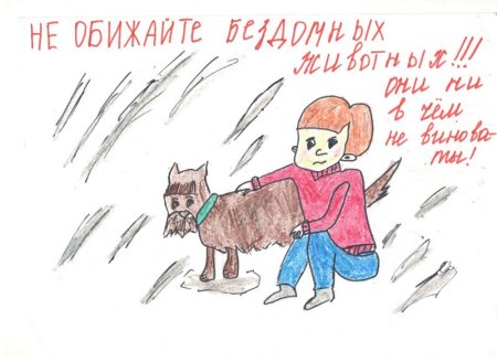 Оренбург Линда группа помощи бездомным животным