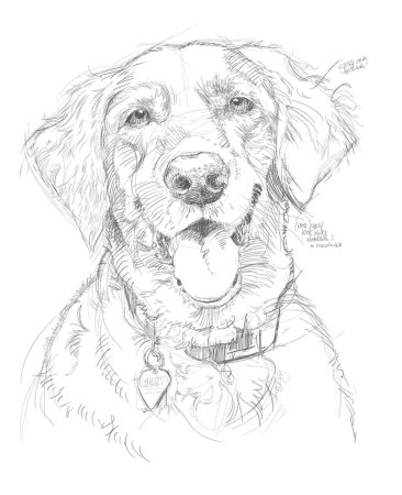 Наброски собак