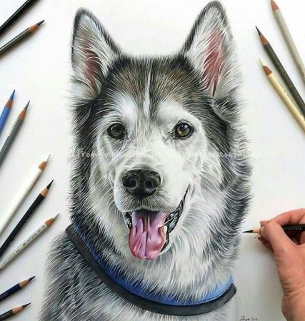 Красивые рисунки профессиональные