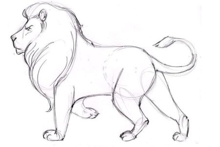 Рисунки животных для срисовки