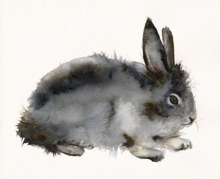 Этюды животных акварелью