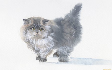 Кот акварелью