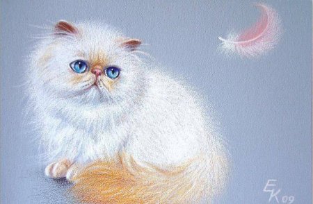 Художник Колотуша Елена (Elena Kolotusha)