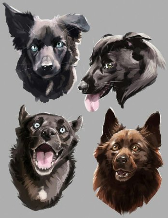 Морда собаки референс