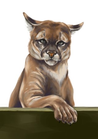 Диджитал иллюстрация животные