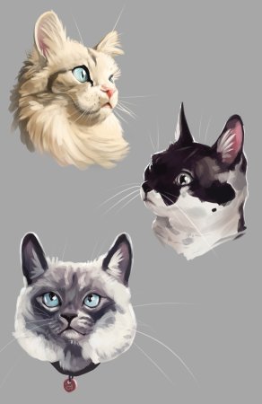 Коты Воители LOKIDRAWZ