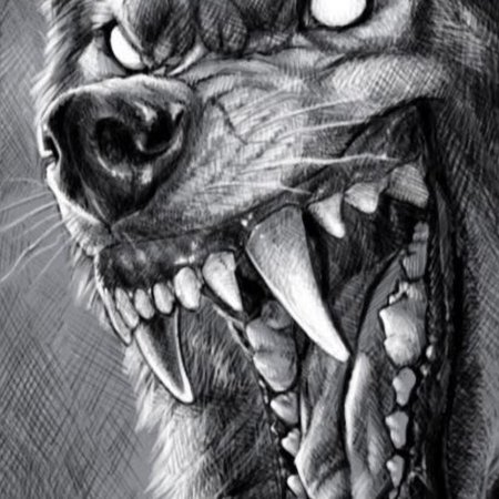 Оскал волка тату эскизы