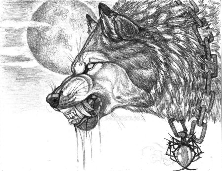 Волчий оскал карандашом