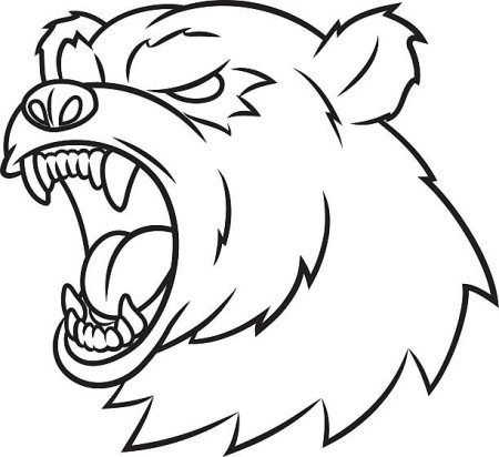 Злой медведь рисунок