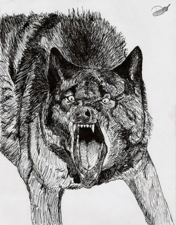 Злой волк набросок