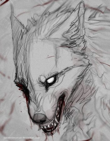 Волк арт карандашом