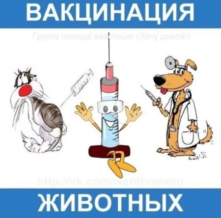 Прививка животных