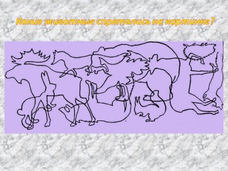 Узнай по контуру животных