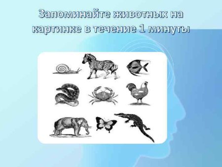 Зашифрованные животные в картинках